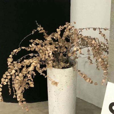 铜山FurryQQ群介绍